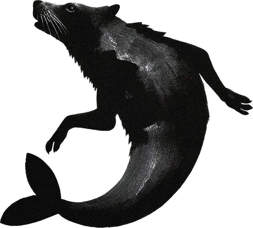 lobito